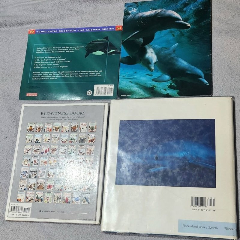 Is a Dolphin a Fish?, Wonders of the Deep, Shark, Sharks 