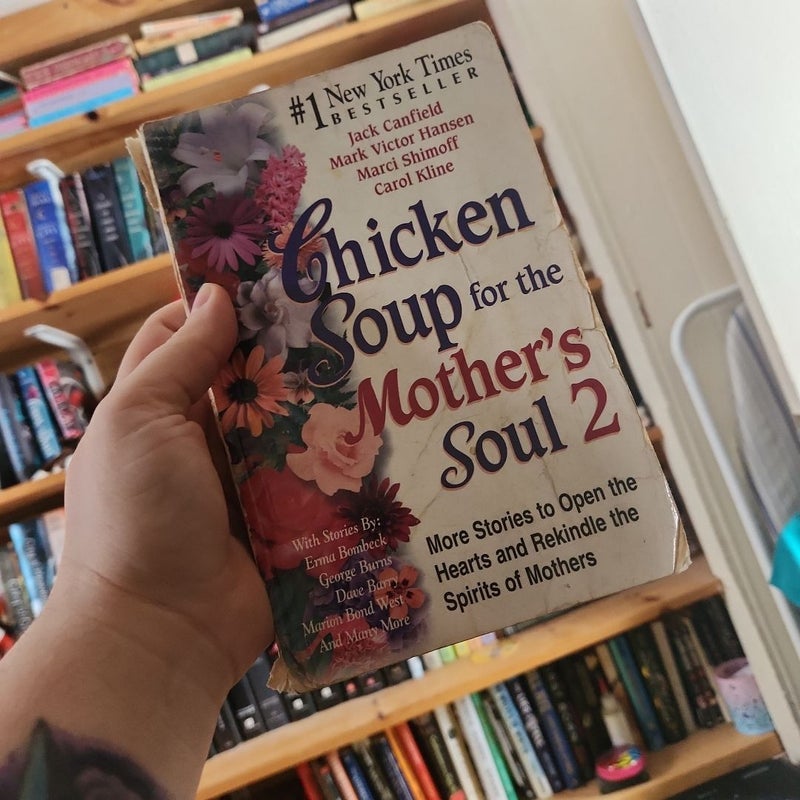 Chicken Soup for the Mother's Soul 2