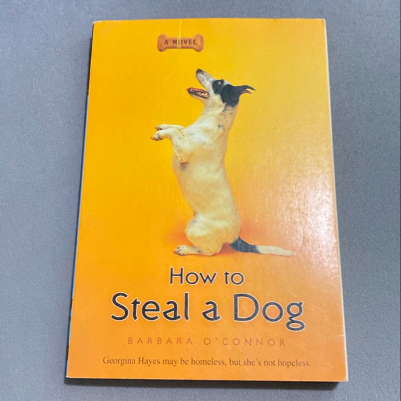 How to Steal a Dog