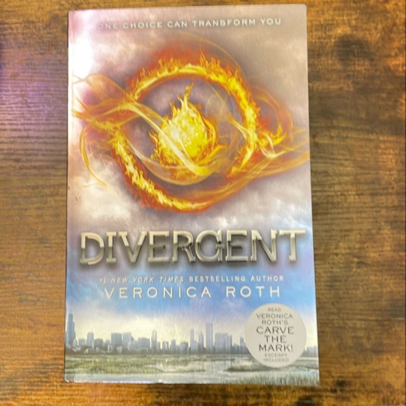 Divergent Series 