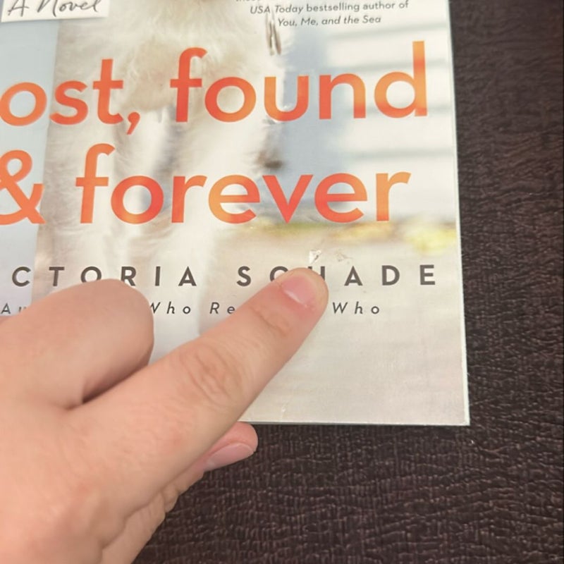 Lost, Found, and Forever