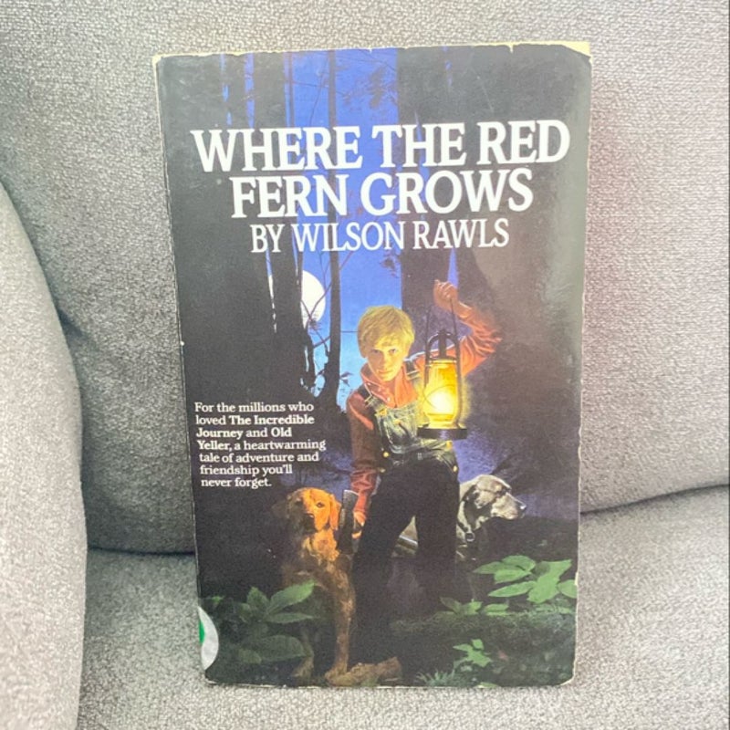 Where the Red Fern Grows