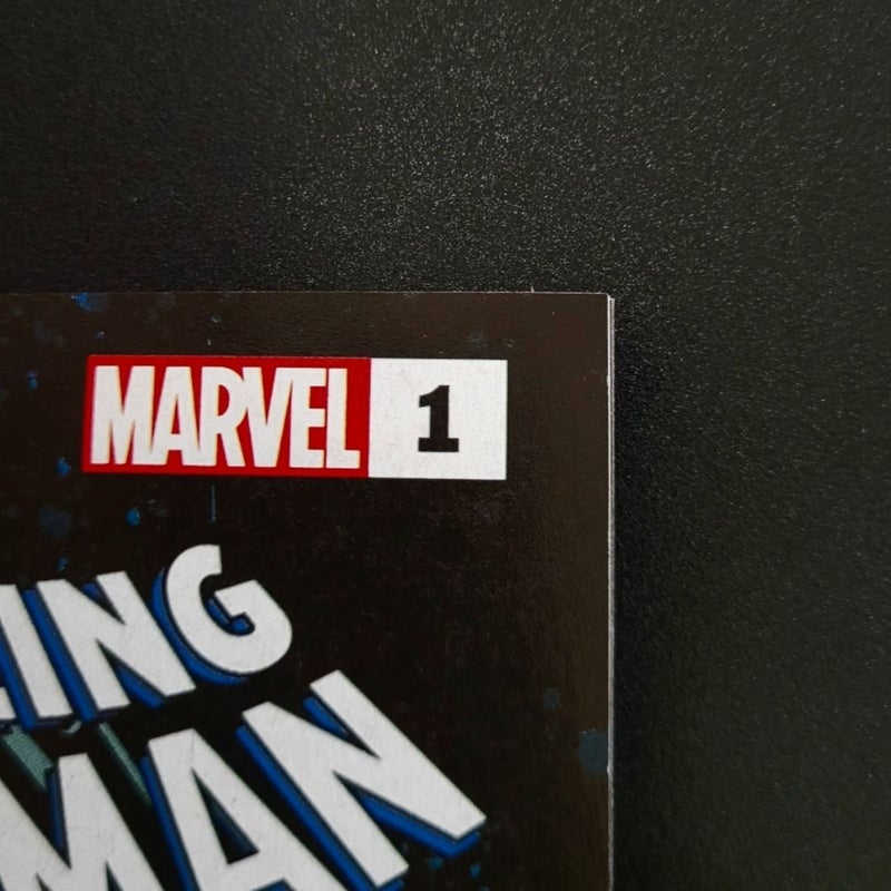Spider-Man/ Ultimate Universe #1 FCBD 2025