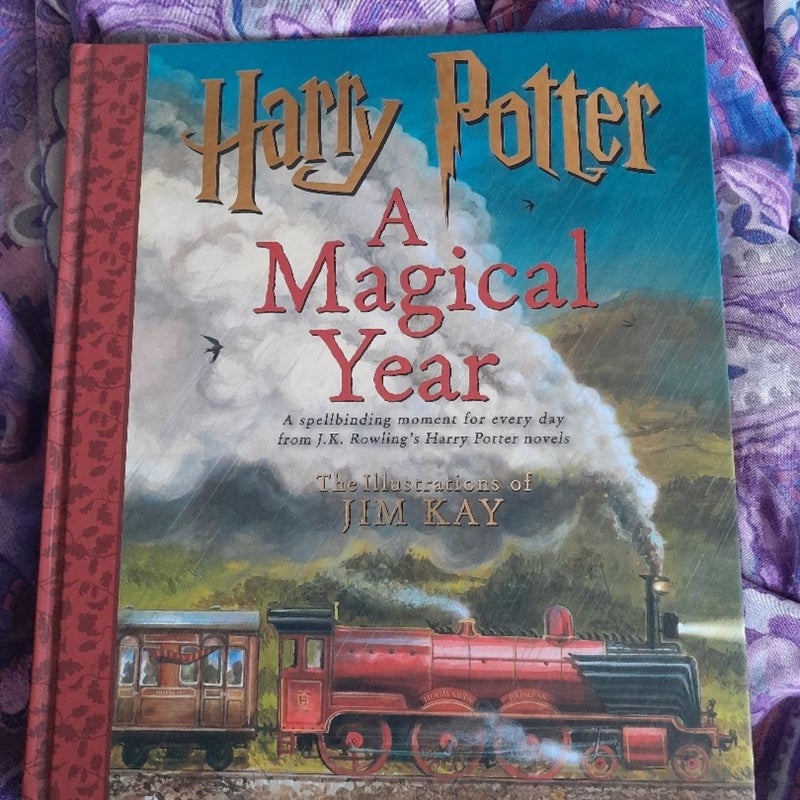 Harry Potter - A Magical Year