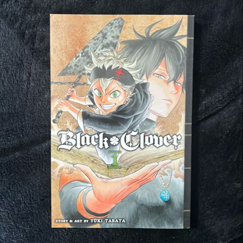 Black Clover, Vol. 1