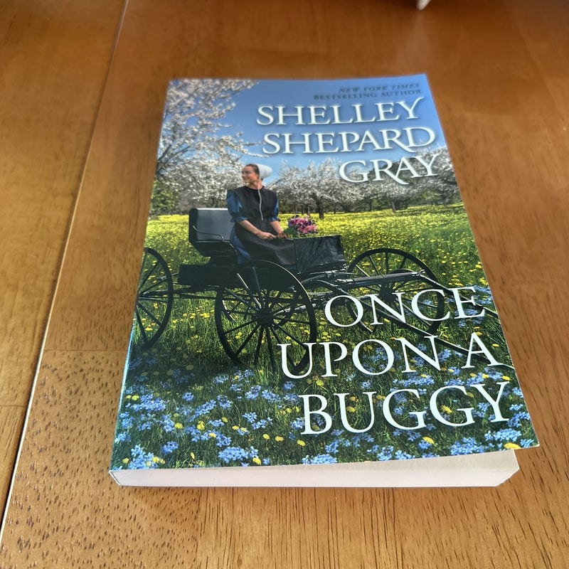 Once upon a Buggy