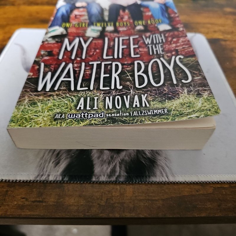 My Life with the Walter Boys