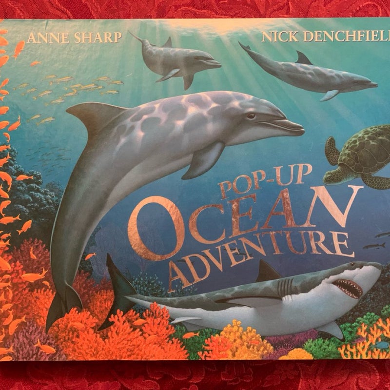 Pop-Up Ocean Adventure