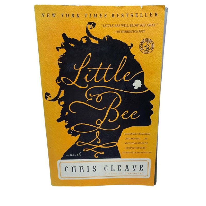 Little Bee