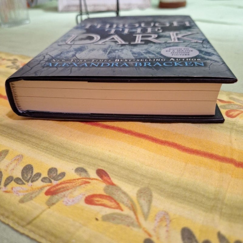 Through the Dark (a Darkest Minds Collection)