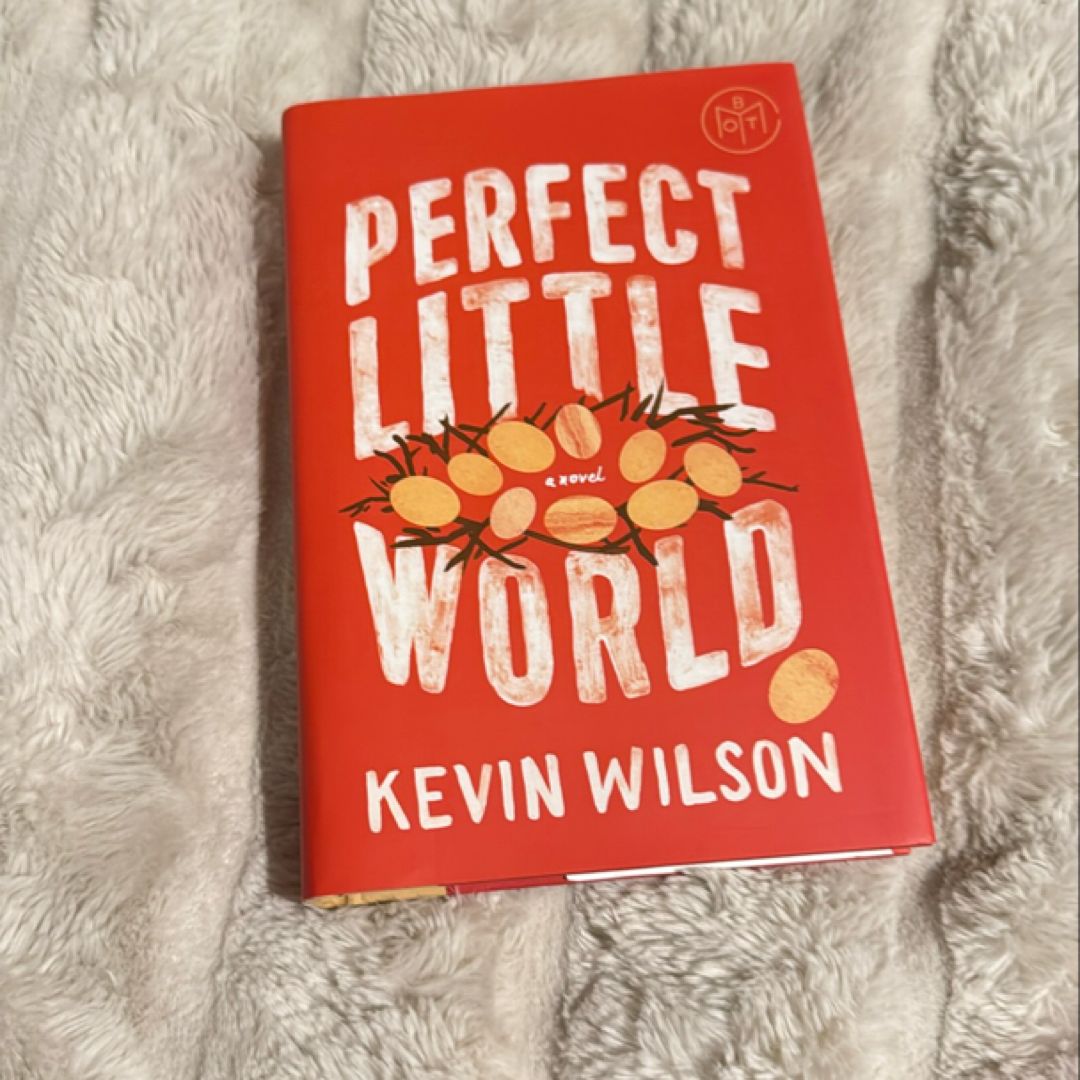 Perfect Little World