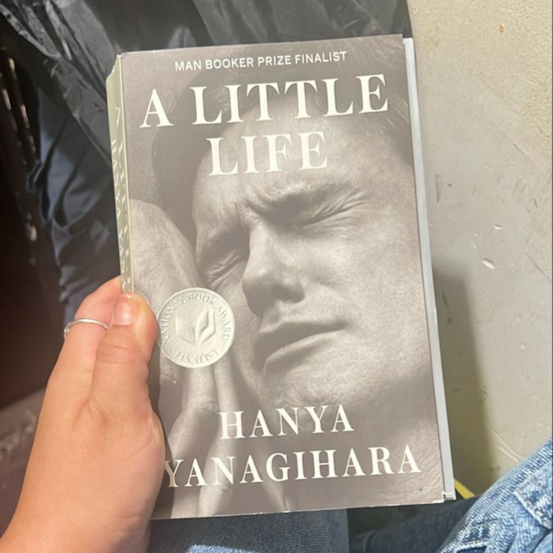 A Little Life