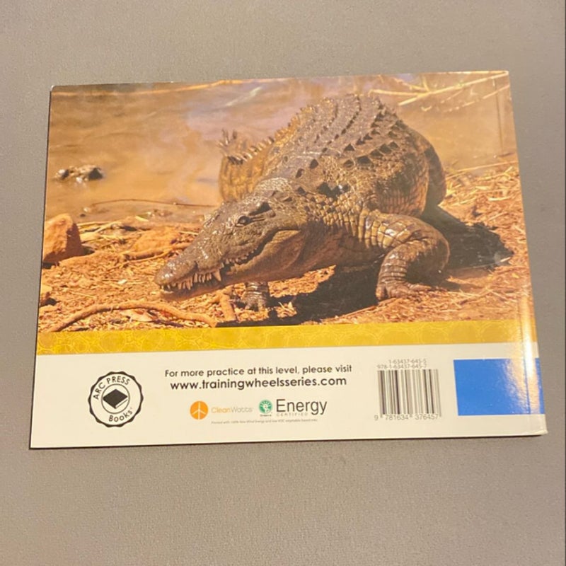 Crocodiles (FSTK ONLY)