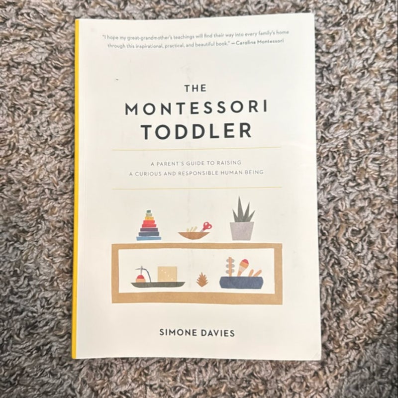 The Montessori Toddler