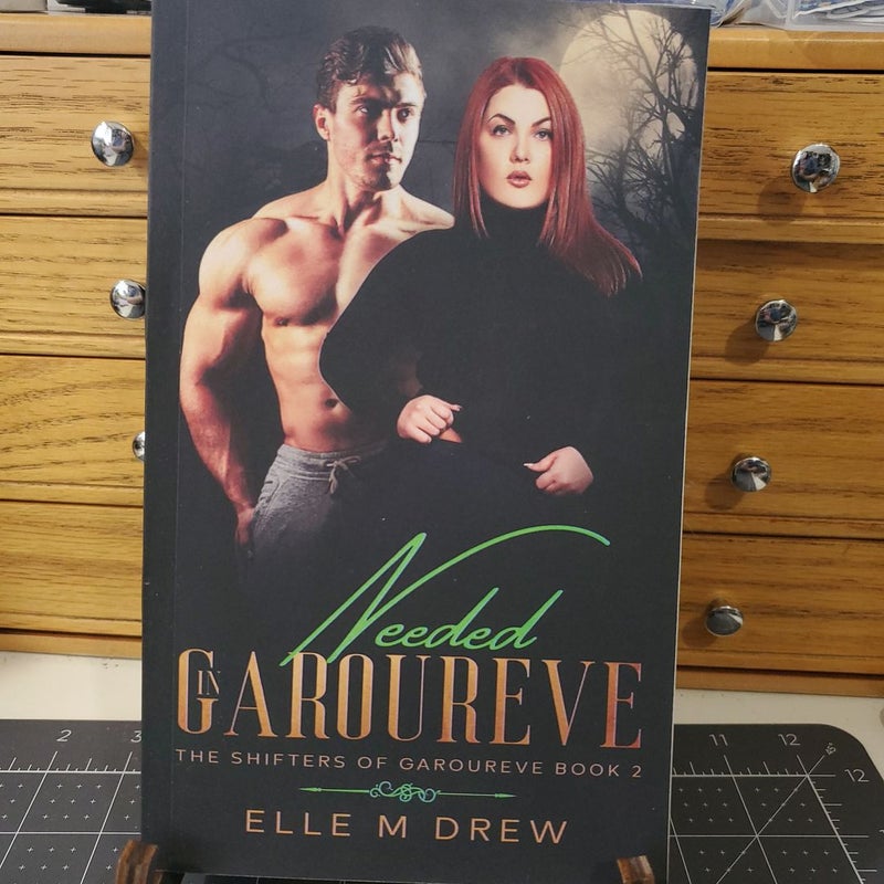 Needed in Garoureve (the Shifters of Garoureve Book 2)