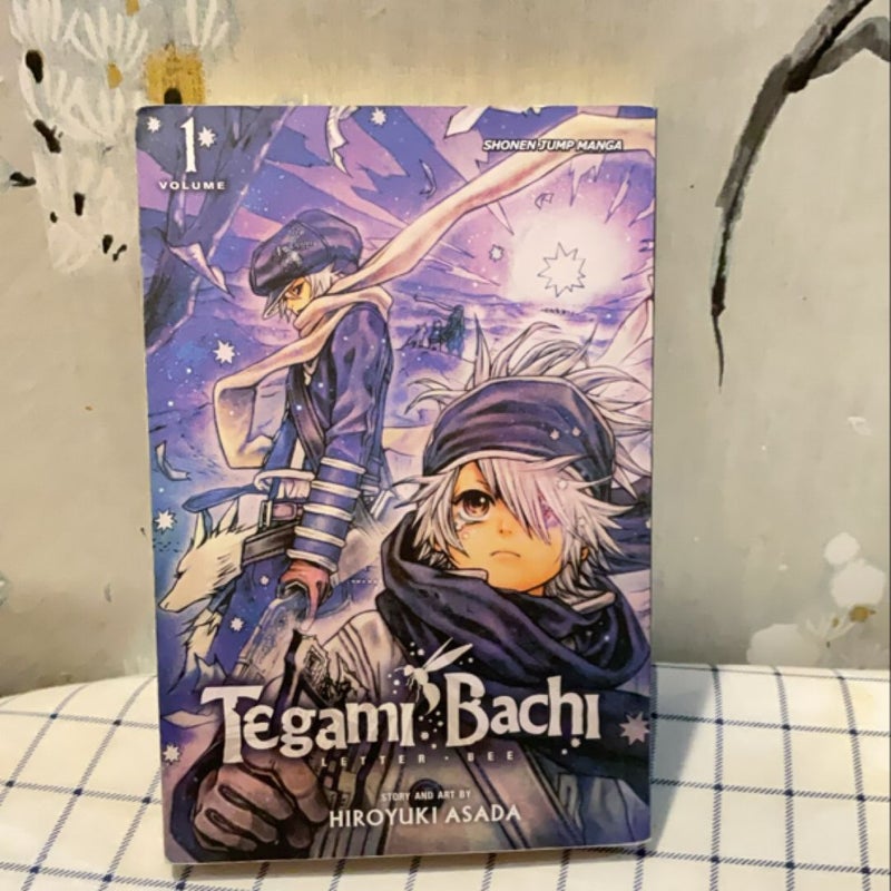 Tegami Bachi, Vol. 1