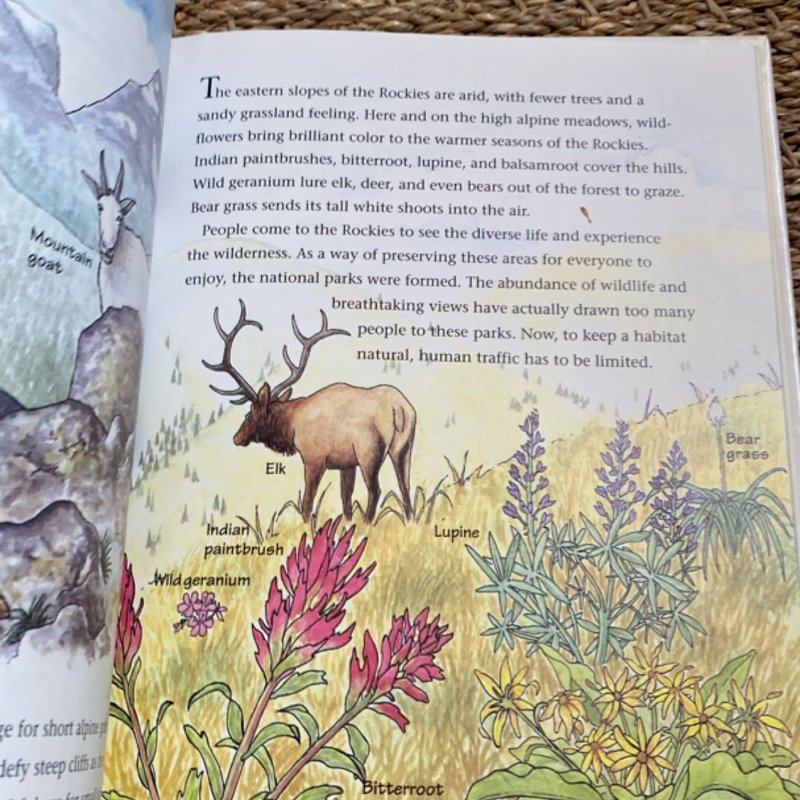 Mountains by Sheri Amsel, Hardcover | Pangobooks
