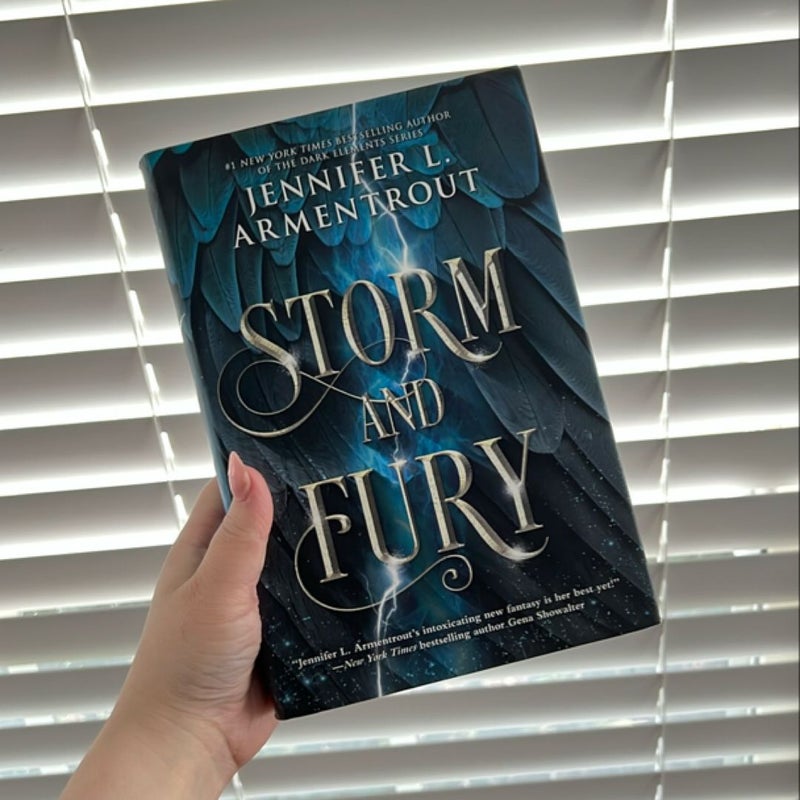 Storm and Fury