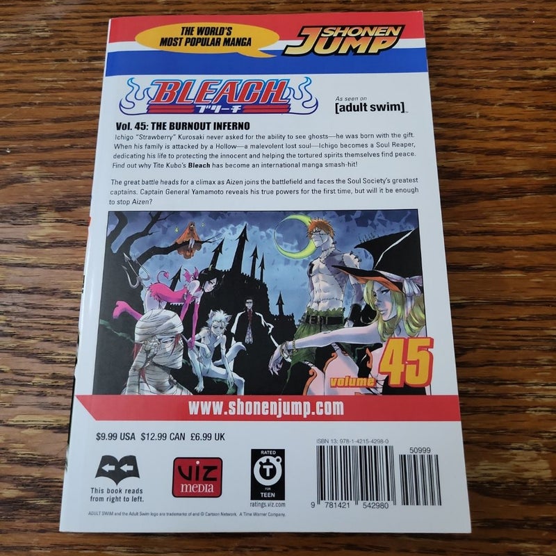 Bleach, Vol. 45