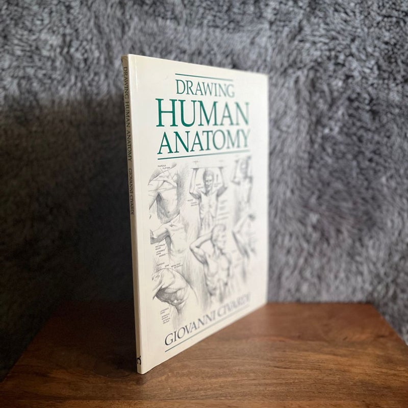 Drawing Human Anatomy (Softback)