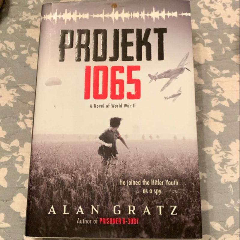 Projekt 1065