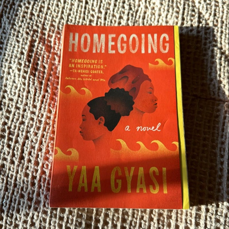 Homegoing