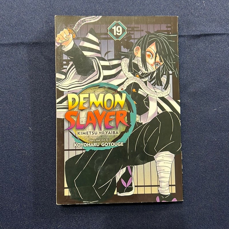 Demon Slayer: Kimetsu No Yaiba, Vol. 19