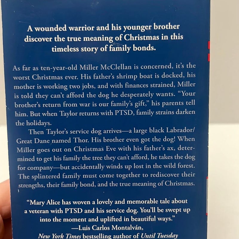 Christmas Reading Bundle: A Lowcountry Christmas & Christmas Hostage 