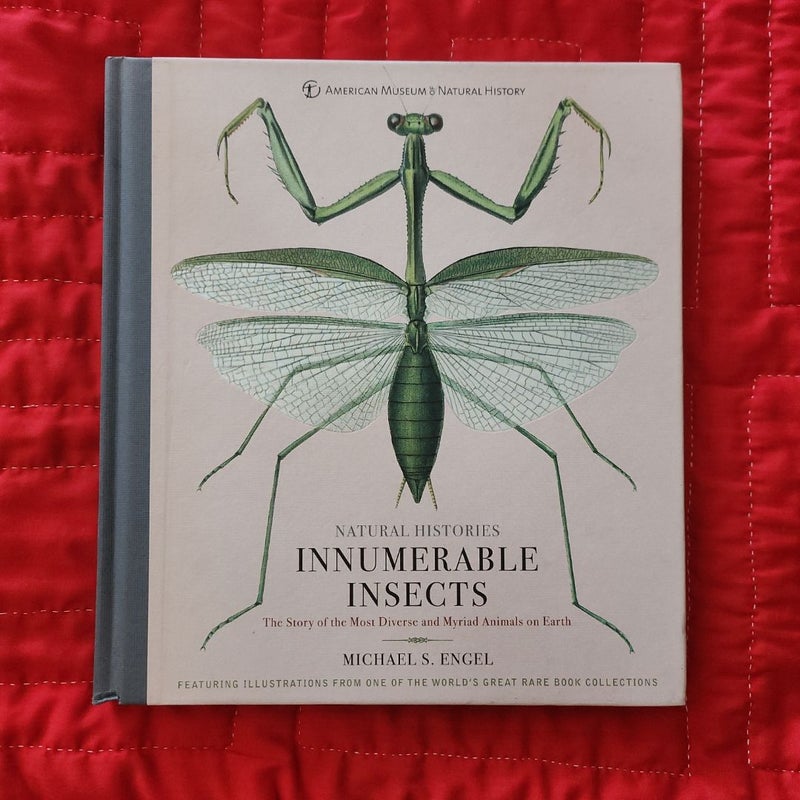 Innumerable Insects