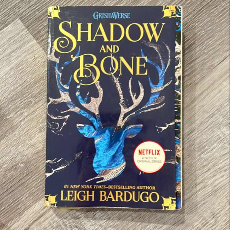 Shadow and Bone (annotated) 
