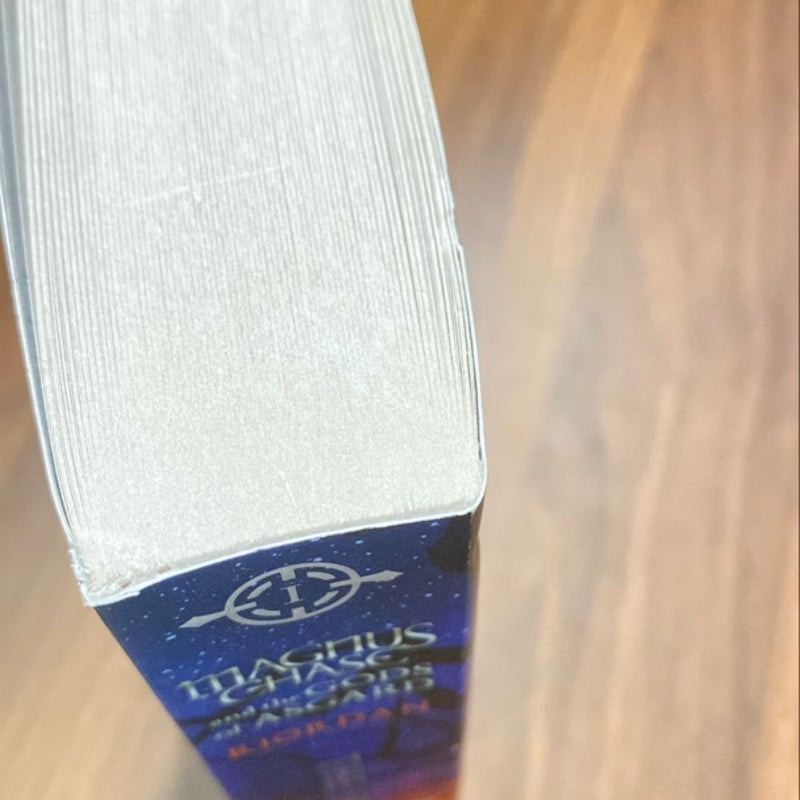 Magnus Chase and the Gods of Asgard Book 1 the Sword of Summer (Magnus Chase and the Gods of Asgard Book 1)