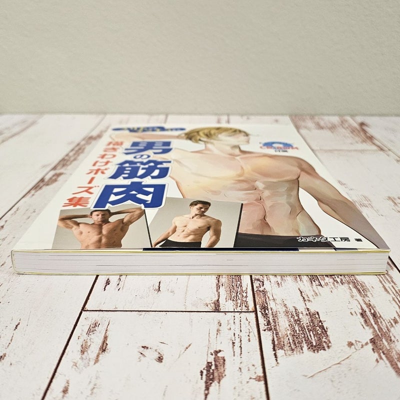 Poses for drawing Men's Muscles - from slim to macho