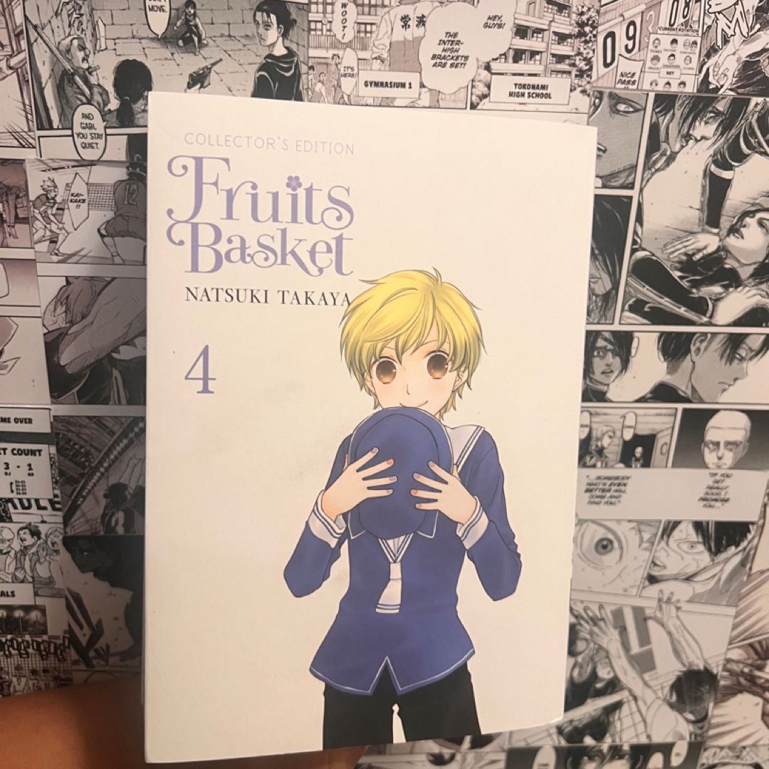 Fruits Basket Collector's Edition, Vol. 4