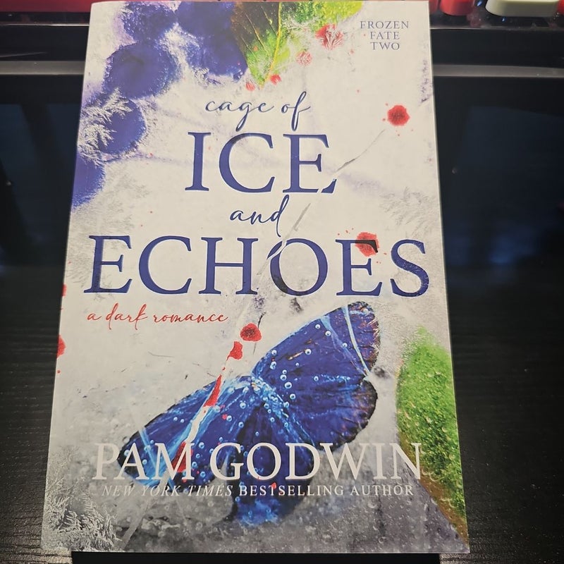 Cage of Ice and Echoes