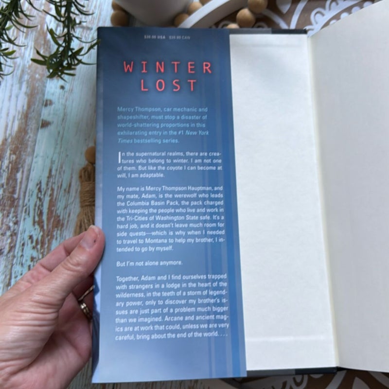 Winter Lost