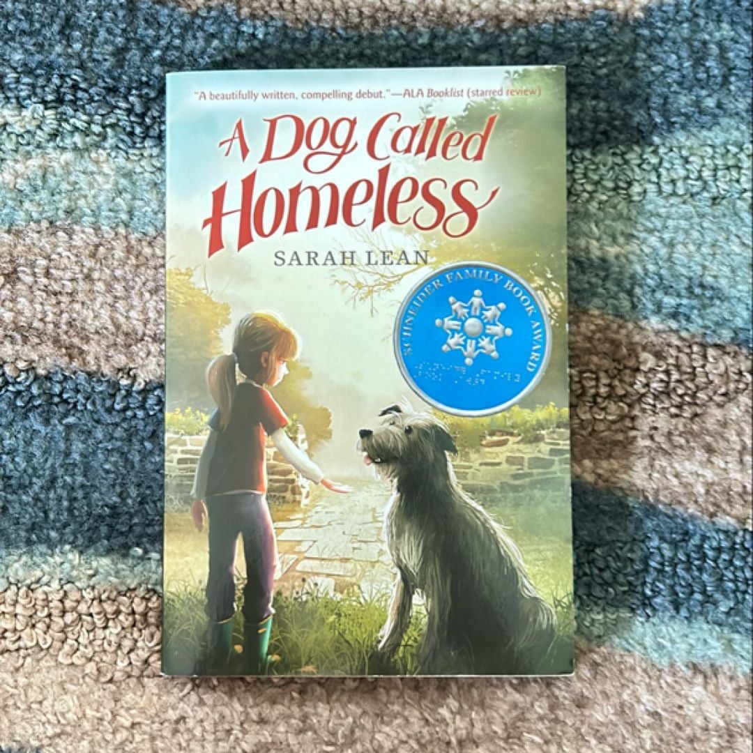 A Dog Called Homeless by Sarah Lean