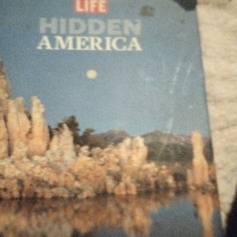 Hidden America