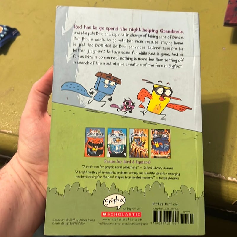 Bird and Squirrel All Tangled up: a Graphic Novel (Bird and Squirrel #5)