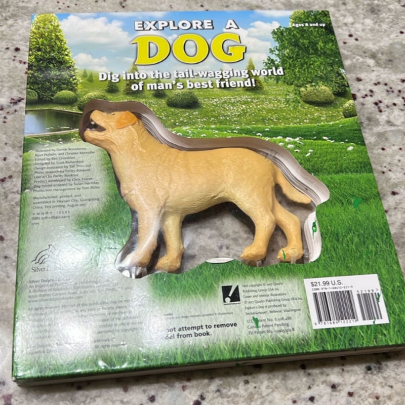 Explore a Dog