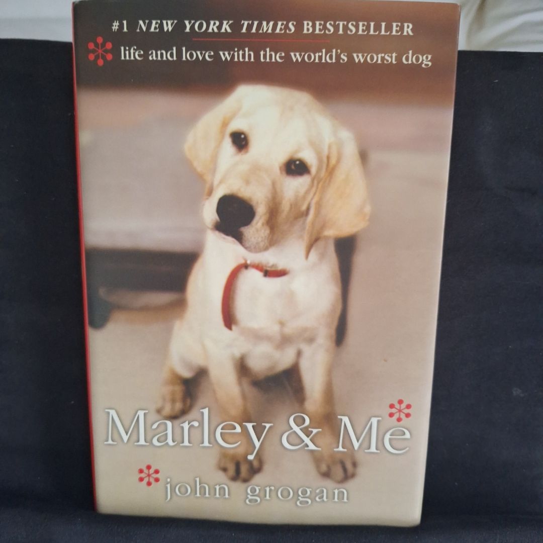 Sale image for a73f2d1f-bc79-430d-8eac-a338533380e0-L9BQJqu50ePLD3hsqMLlYrm46QJ3