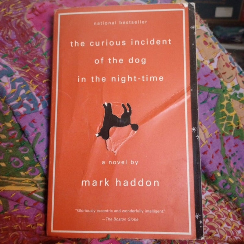 The Curious Incident of the Dog in the Night-Time