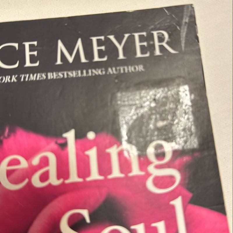 Healing the Soul of a Woman