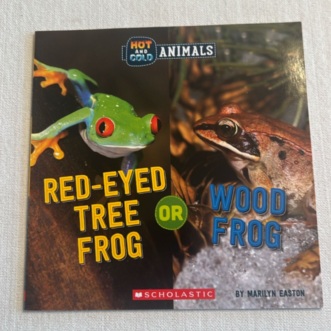 Red-Eyed Tree Frog or Wood Frog (Wild World: Hot and Cold Animals)