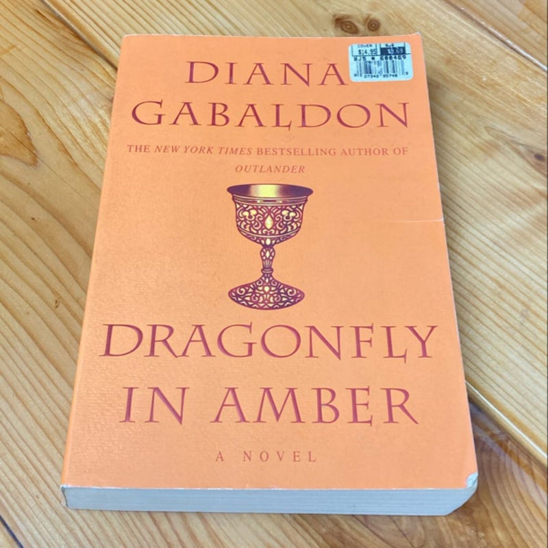 Dragonfly in Amber