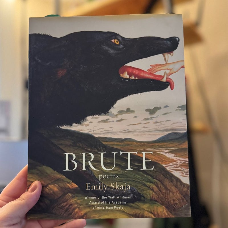 Brute