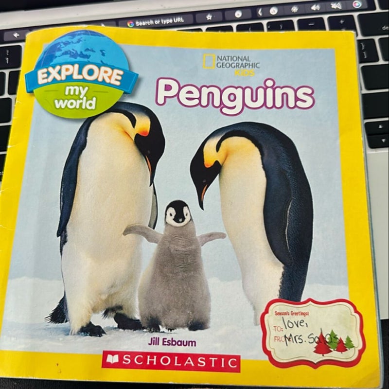 Penguins 