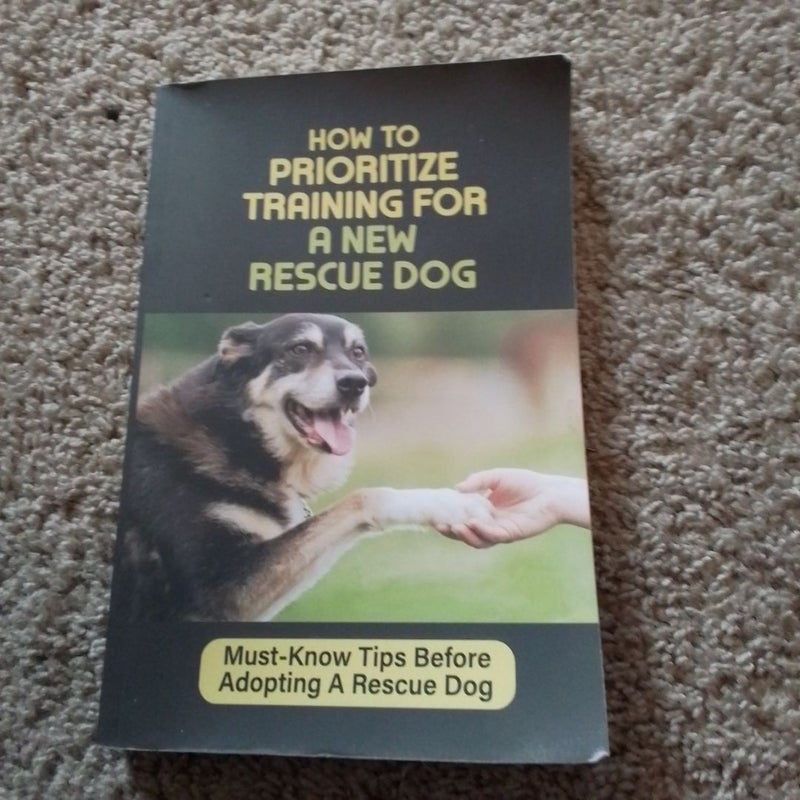 How to Prioritize Training for a New Rescue Dog