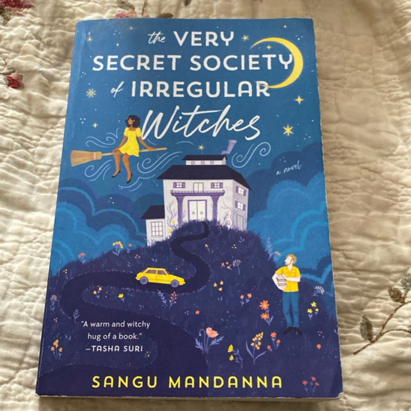 The Very Secret Society of Irregular Witches