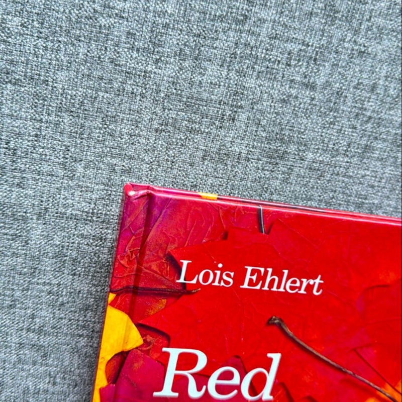 Red Leaf, Yellow Leaf