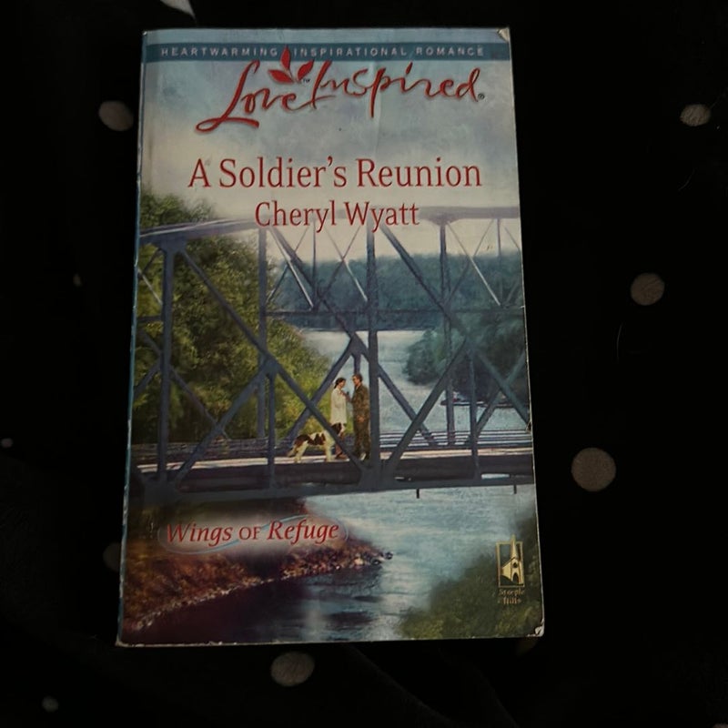 A Soldier's Reunion